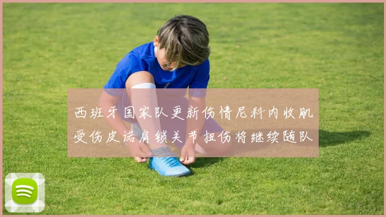 西班牙国家队更新伤情尼科内收肌受伤皮诺肩锁关节扭伤将继续随队训练
